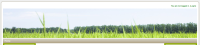 problem.png