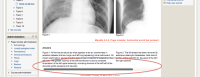 content in page - with horizontal scroll bar1.png