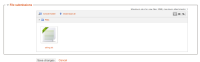 Submit 2013-04-15.png