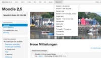 1-head-menu-and-language-menu.png