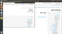 RTLCLeanAccessibleChat.png