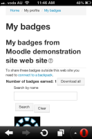 badge.jpg