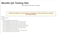 QA site error.jpg
