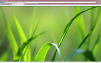 Error_2013-07-17_10-16-02.png