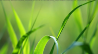 Games Test V4_ Hangman_2013-07-17_10-15-48.png