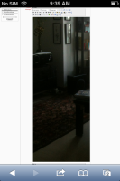 photo.PNG