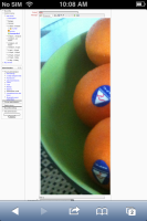 oranges.PNG
