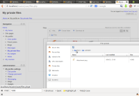 falseclick3.png