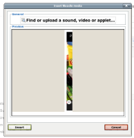 youtubepreview.png