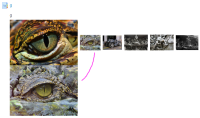 qa-6298-act_descr-evidence3.png
