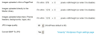 Imsanity Plugin Settings.jpg