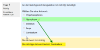 2014-01-27 15_42_24-Vorschau Frage 09. Schwindel.png