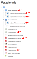 error-filenames-and-foldernames-with-german-umlauts-or-spaces.png
