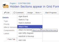 2014-08-27 15_41_05-[CONTRIB-5260] Hidden Sections appear in Grid Format for Teacher_Non-Editing - M.png