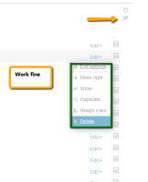 edit-show-work2.png