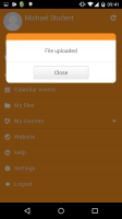 Uploaded 1 site.png