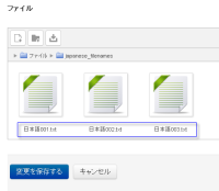 correct_filename.png