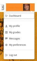 clicking on user menu.png
