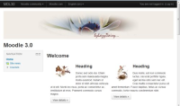 page-header with heading.jpg