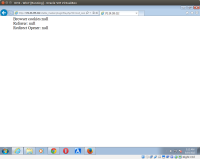 IE_open.png