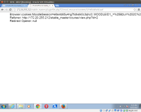 Chrome_open.png
