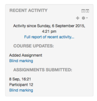 blind_marking_recent_activity_submission.png