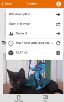 info_mockup.png