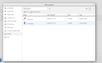 file-detail.PNG