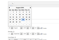 popup calendar incorrect.png