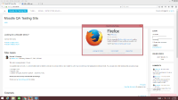 firefox_version_.png