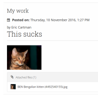 yay_works.png