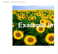 imageinmessage.png