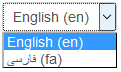 LanguageOptions.png
