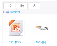 screenshot-7.png