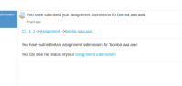 assign-padding-without-patch.png