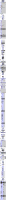 php_info_moodle.png