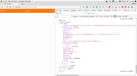 Page object returned from WS.png