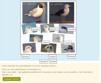 Quiz-Probleme.jpg