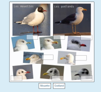 Test01.png