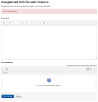 assignment nothing was submitted message.png