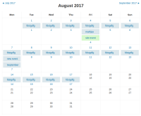 clean calendar view.png