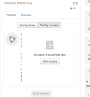 course_overview_clean_theme_course_name_bug.png
