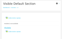 VisibleDefault-33-student.png