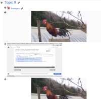 Captura de Tela 2017-10-23 às 23.25.26.png