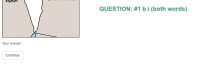 Answer 1.JPG
