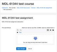MDL-61344-edit_submission-before.png