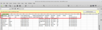 MDL-61289_Step14 Excel Format Confirmed and Verified1.PNG