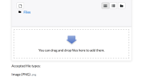 form_filemanager_with_accepted_types.png