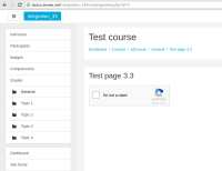 3.3 - reCAPTCHA web.png