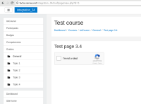 3.4 - reCAPTCHA web.png